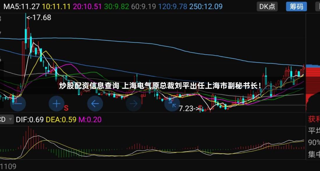 炒股配资信息查询 上海电气原总裁刘平出任上海市副秘书长！