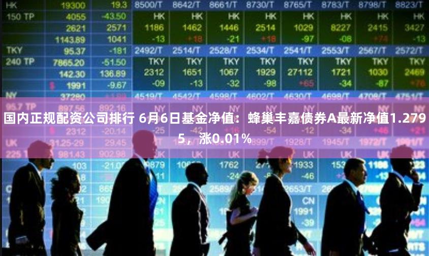 国内正规配资公司排行 6月6日基金净值：蜂巢丰嘉债券A最新净值1.2795，涨0.01%