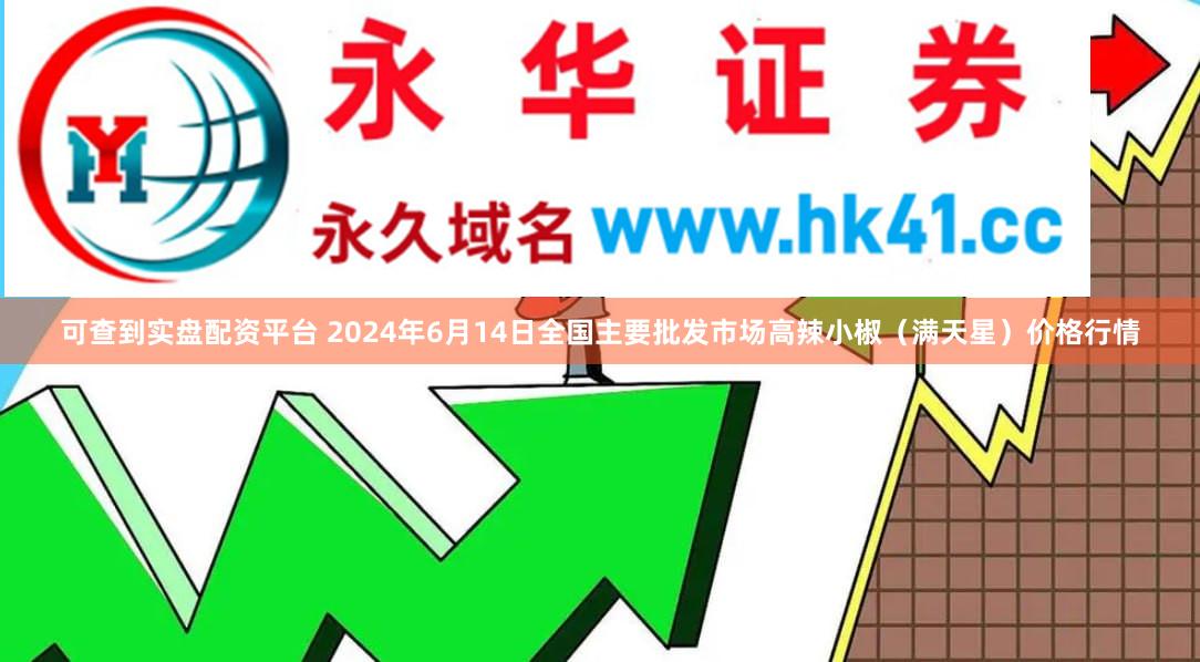 可查到实盘配资平台 2024年6月14日全国主要批发市场高辣小椒（满天星）价格行情