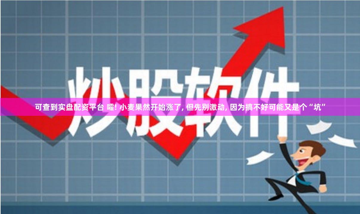 可查到实盘配资平台 嚯! 小麦果然开始涨了, 但先别激动, 因为搞不好可能又是个“坑”