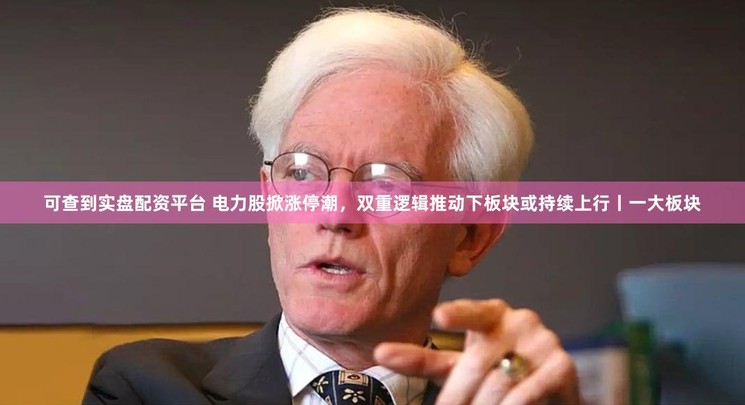 可查到实盘配资平台 电力股掀涨停潮，双重逻辑推动下板块或持续上行丨一大板块