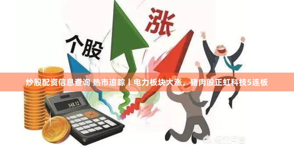 炒股配资信息查询 热市追踪丨电力板块大涨，猪肉股正虹科技5连板