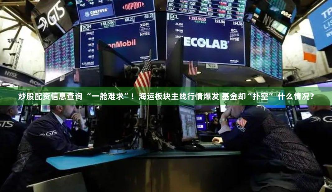 炒股配资信息查询 “一舱难求”！海运板块主线行情爆发 基金却“扑空” 什么情况？