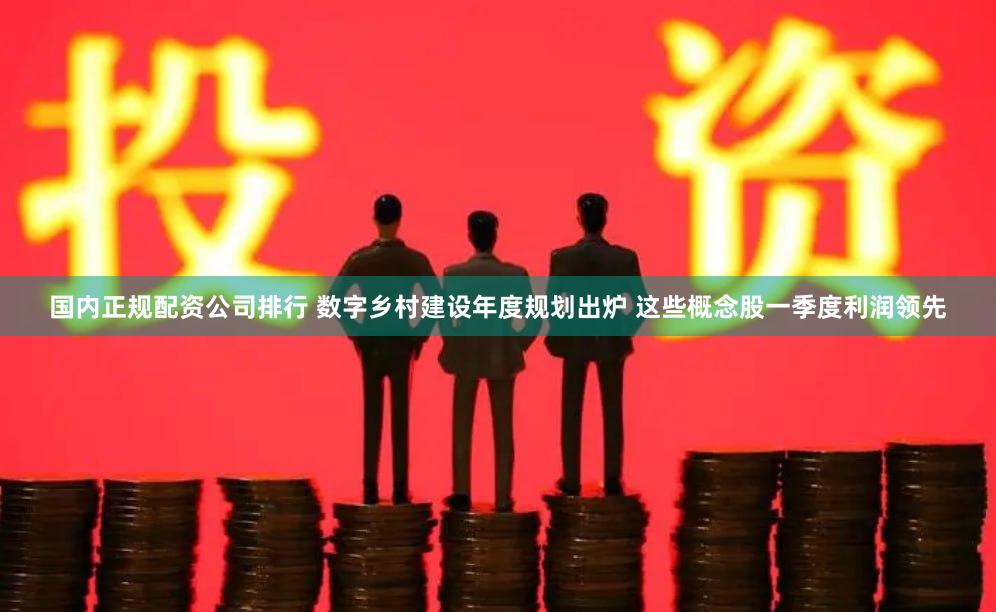 国内正规配资公司排行 数字乡村建设年度规划出炉 这些概念股一季度利润领先