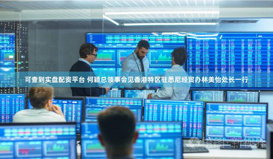 可查到实盘配资平台 何颖总领事会见香港特区驻悉尼经贸办林美怡处长一行
