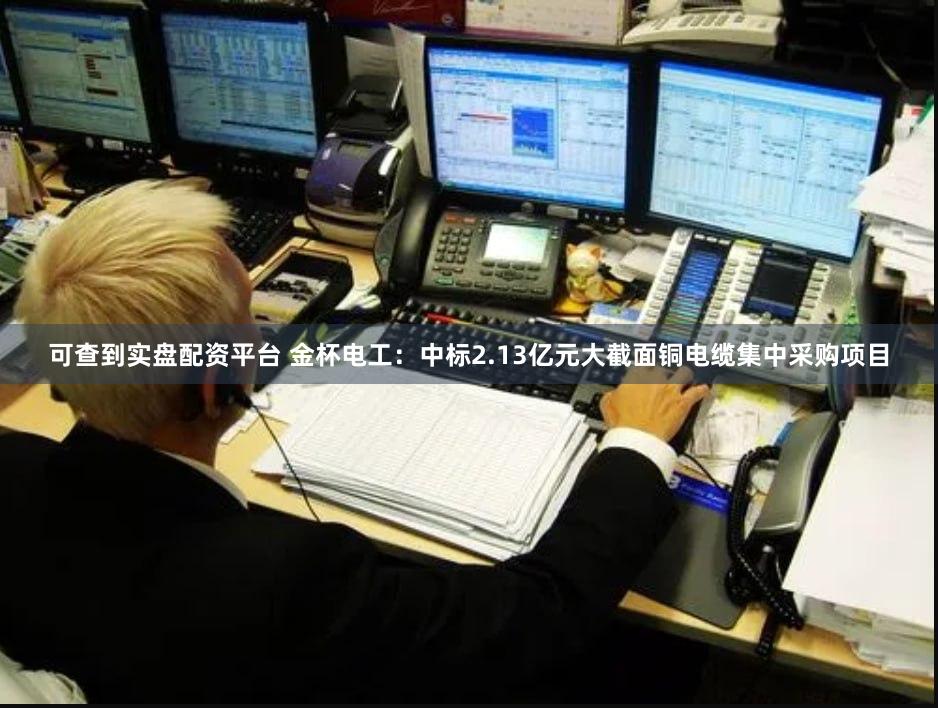 可查到实盘配资平台 金杯电工：中标2.13亿元大截面铜电缆集中采购项目