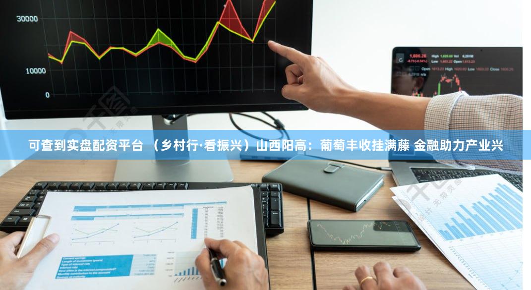 可查到实盘配资平台 （乡村行·看振兴）山西阳高：葡萄丰收挂满藤 金融助力产业兴