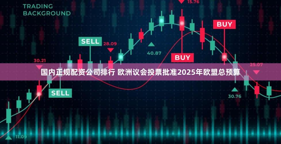 国内正规配资公司排行 欧洲议会投票批准2025年欧盟总预算