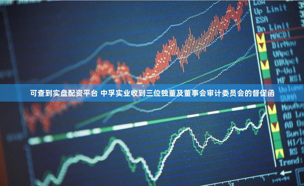 可查到实盘配资平台 中孚实业收到三位独董及董事会审计委员会的督促函