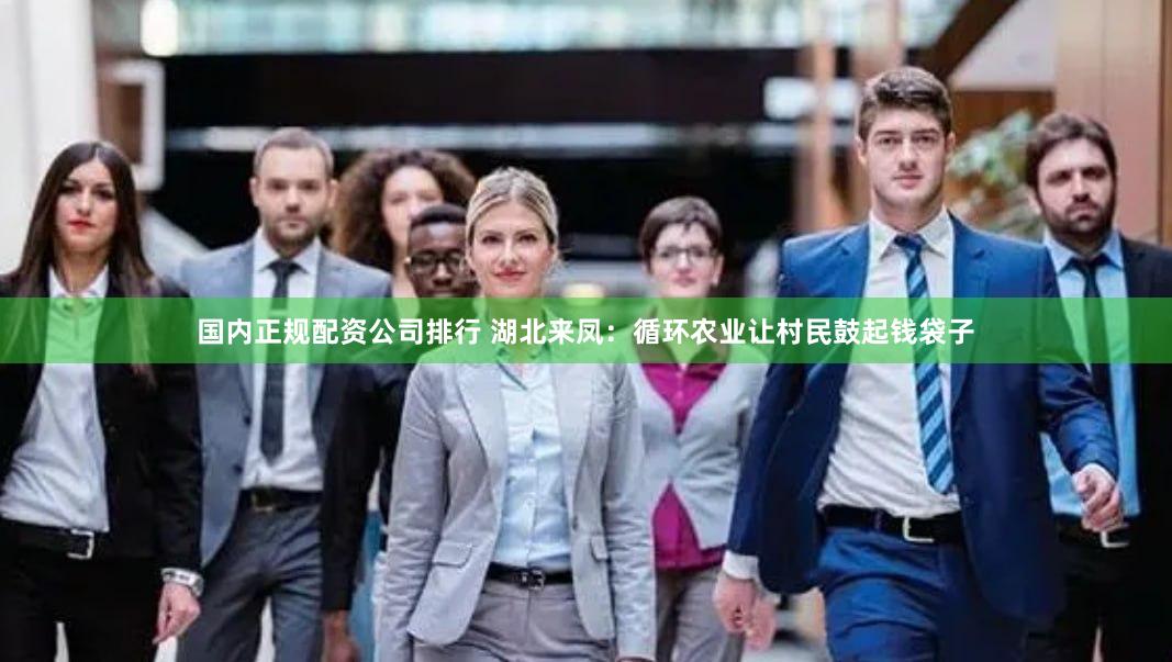 国内正规配资公司排行 湖北来凤：循环农业让村民鼓起钱袋子