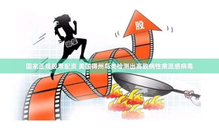 国家正规股票配资 美国得州鸟类检测出高致病性禽流感病毒